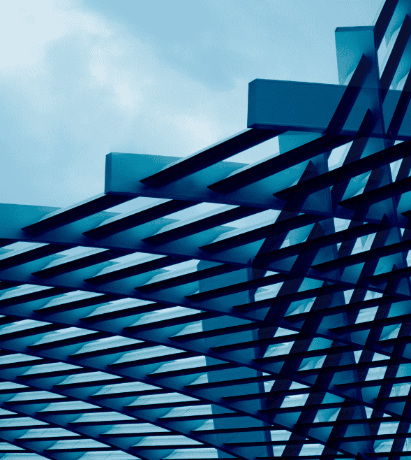 Thriving through disruption: A differentiator for growth