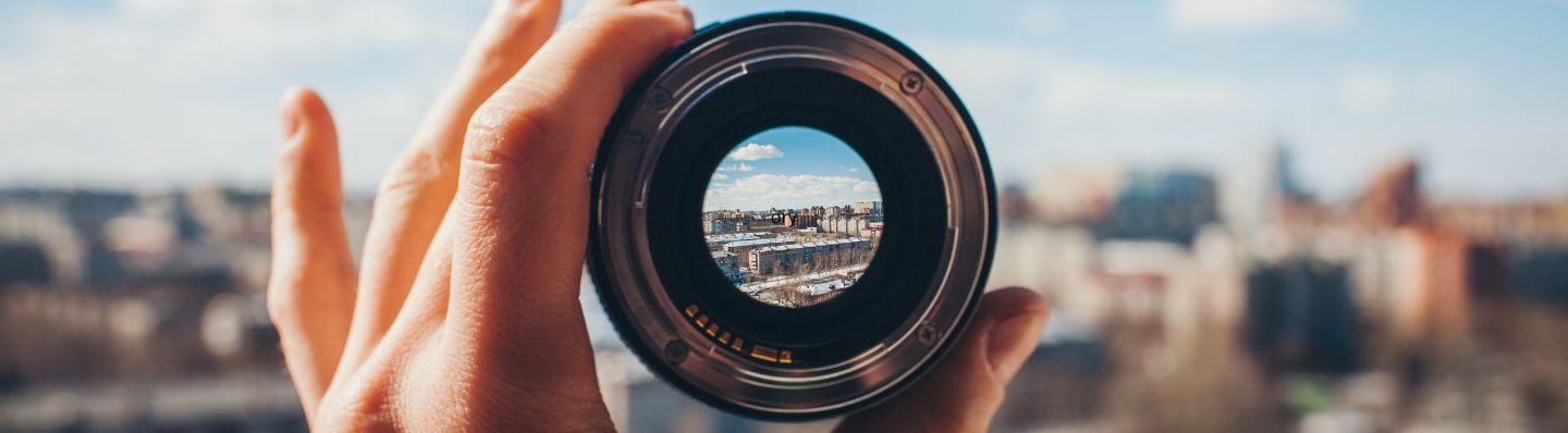 Boards of the future - Steering organizations to thrive