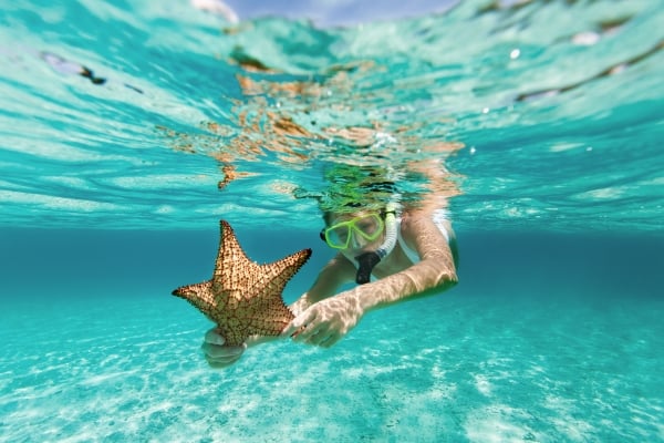 Incentives Code- new Provisions for Tourist Activities