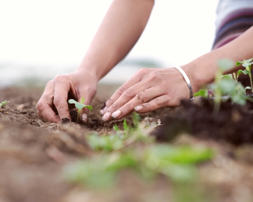 Incentives for agricultural, film, young entrepreneurs, and other industries